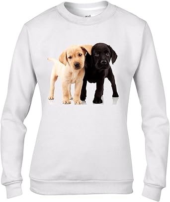 labrador jumpers