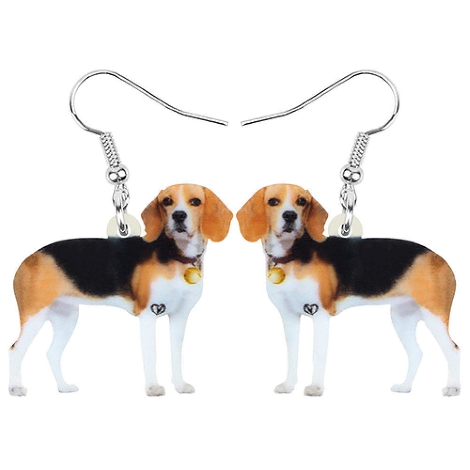 Beagle vs Basset Hound: Which scent hound is right for you