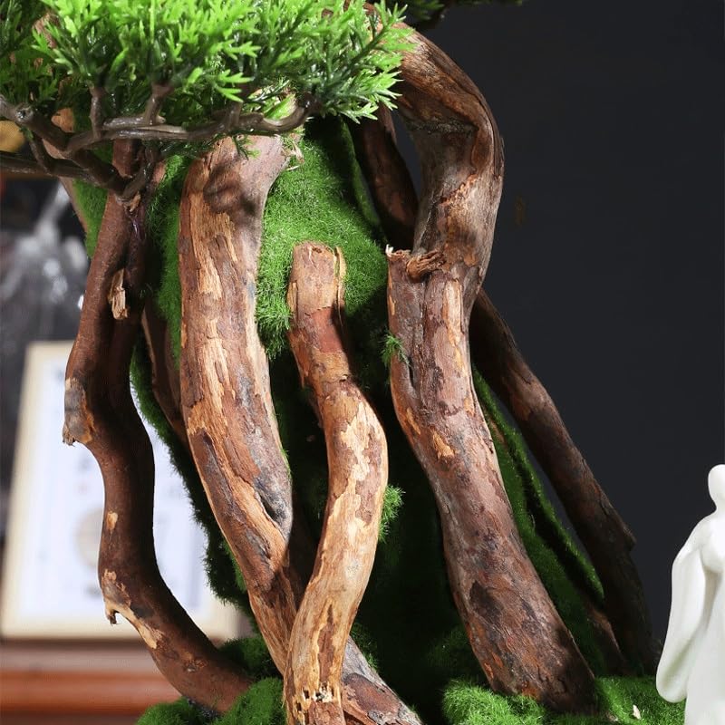 Pinus Armorus decoración de plantas verdes con acabado realista 5