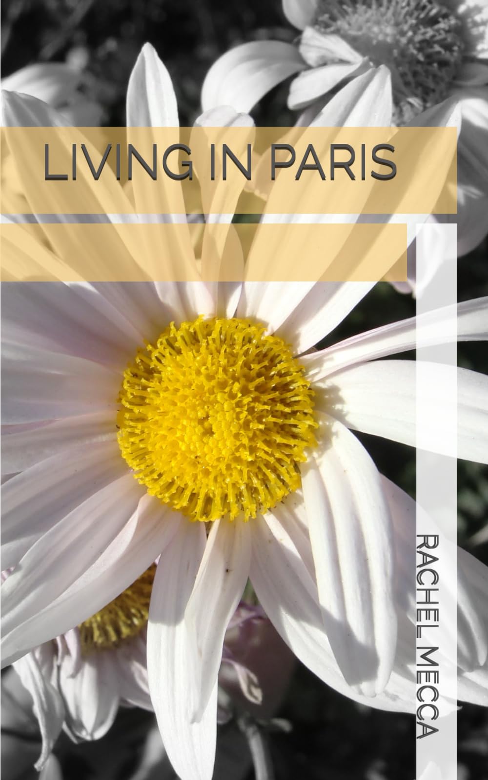 LIVING IN PARIS