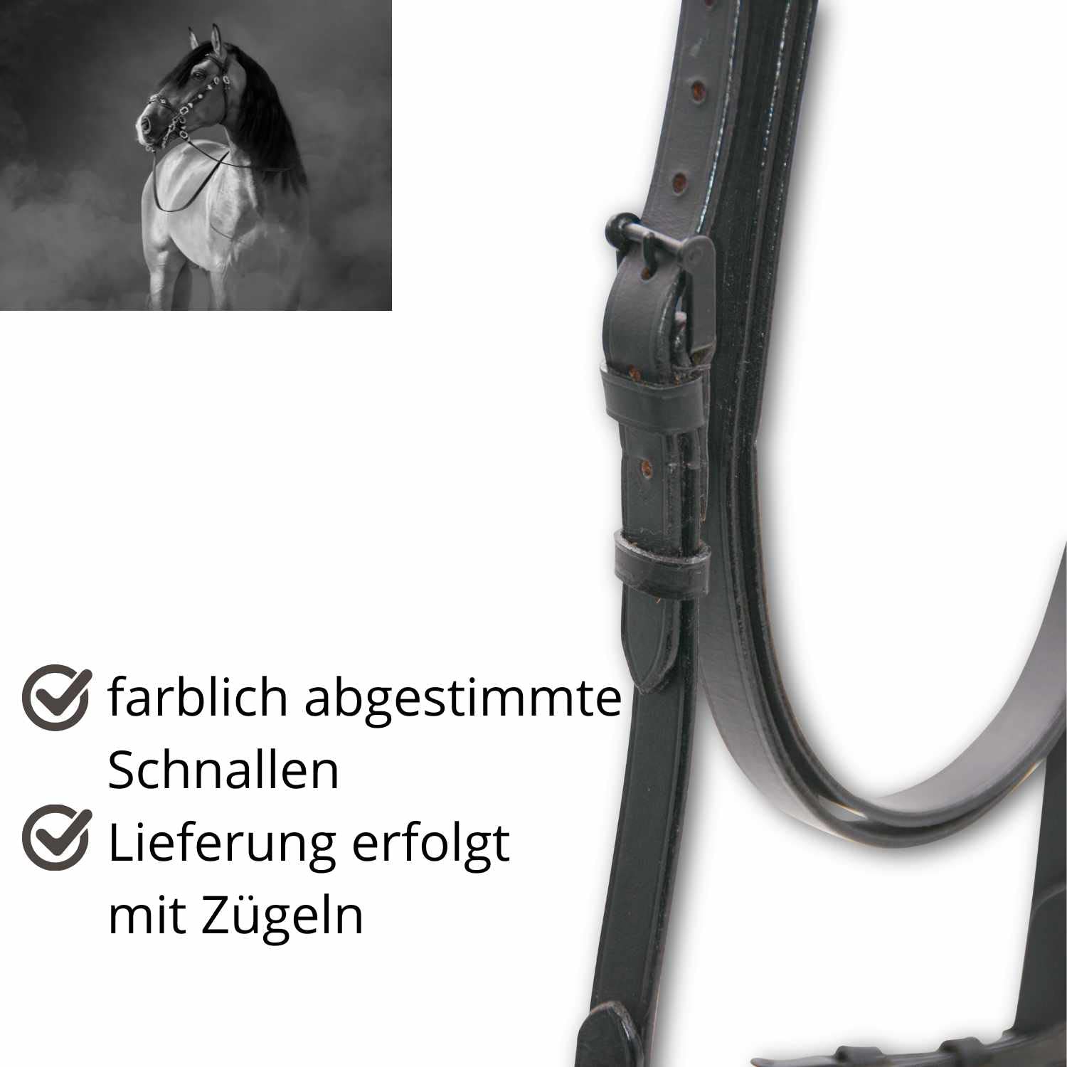 AMKA Spanische Trense mit Leder Fransenstirnband und Lederzügel Vaquero Zaum 005/105