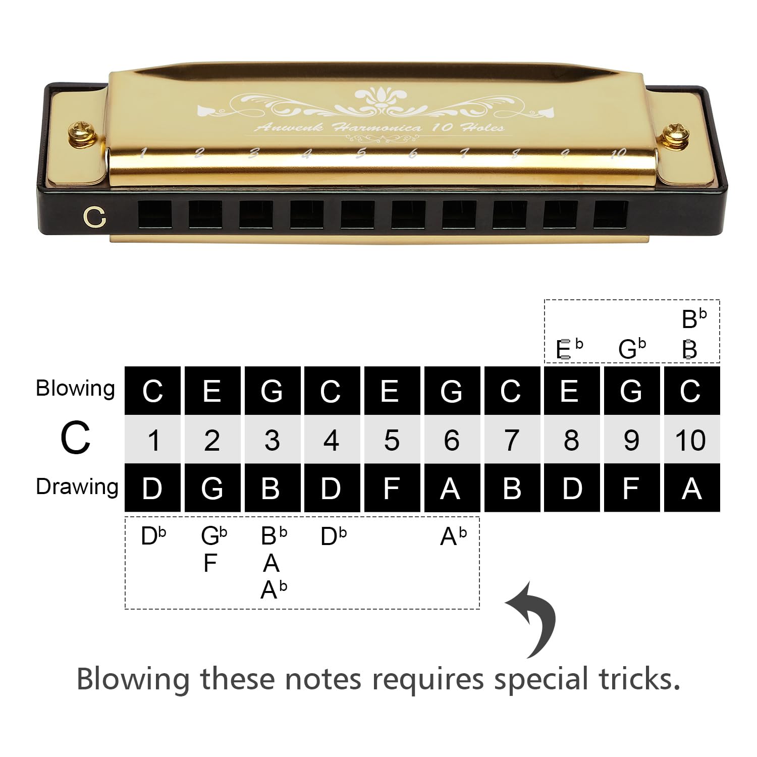 Anwenk Harmonica Key of C 10 Hole 20 Tone Diatonic Harmonica C with Case for Beginner, Gold - Image 4