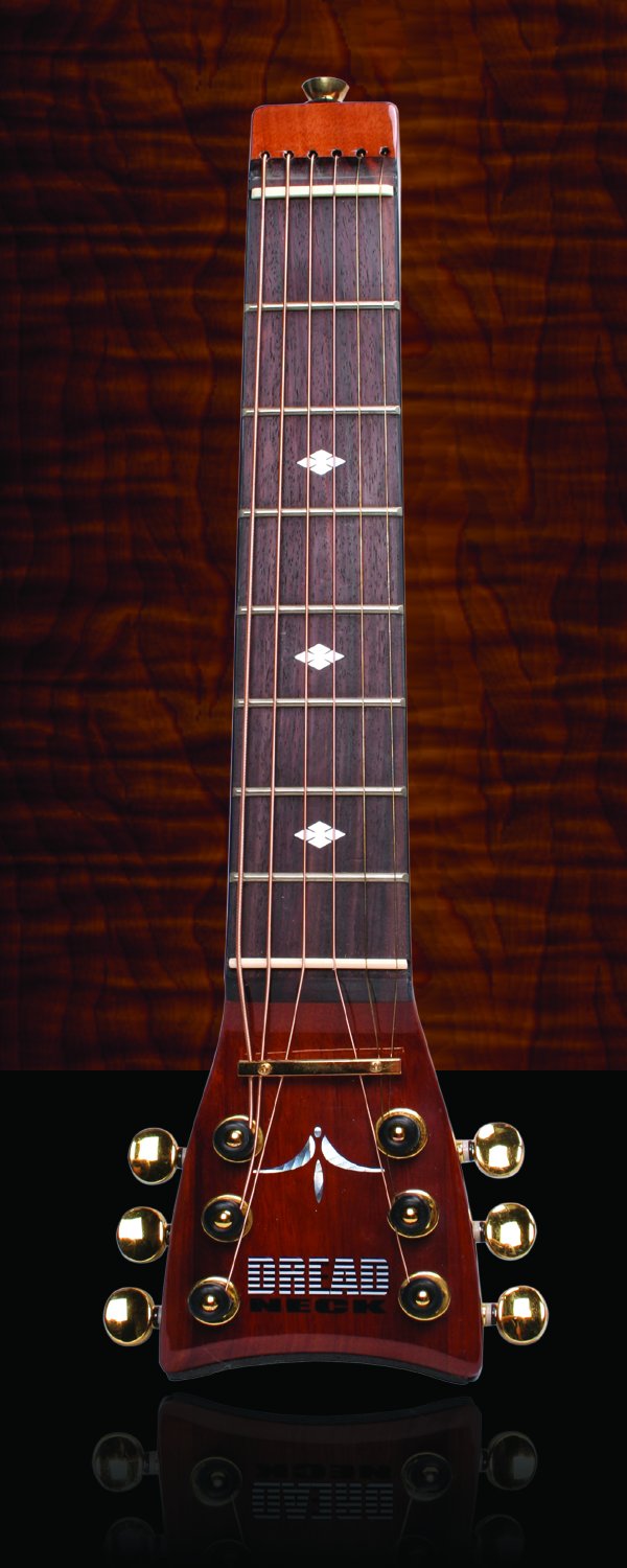 Amazon.com: Shredneck Dreadneck Acoustic Model - 7-Fret : Musical 