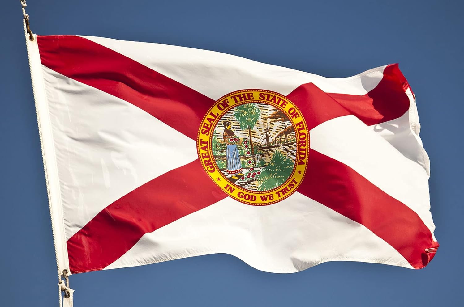 Florida Flag 3x5 Outdoor Double Sided Heavy Duty Durable 3 Ply Florida State Flags Banner with 2 Grommets - Image 4