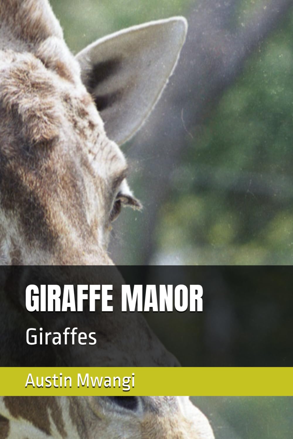 GIRAFFE MANOR: Giraffes