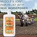 Absorbine Veterinary Liniment Gel, Topical Menthol Analgesic Rub for Sore Muscle, Joint & Arthritis Pain Relief, 12oz Bottle 2-Pack