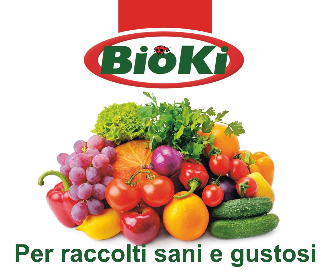 Bioki ‍ Fosforite Naturale tenero ad Alto Contenuto di fosforo ad Elevato Assorbimento, per orticoltura, frutticoltura e Giardinaggio, Ideale per aridocoltura, Busta da 5 kg