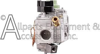 Amazon.com: Natural Gas 6003H-NG Dexen OEM CSA Certified Millivolt