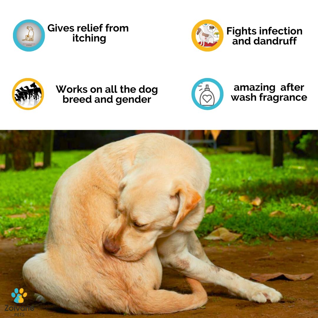 ZOIVANE Ditch to Itch & Anti Dandruff Dog Shampoo (300ml) | for Pomeranian, Shih tzu Puppy, German Shepherd, Labrador & Golden Retriever (Pack of 1) 2