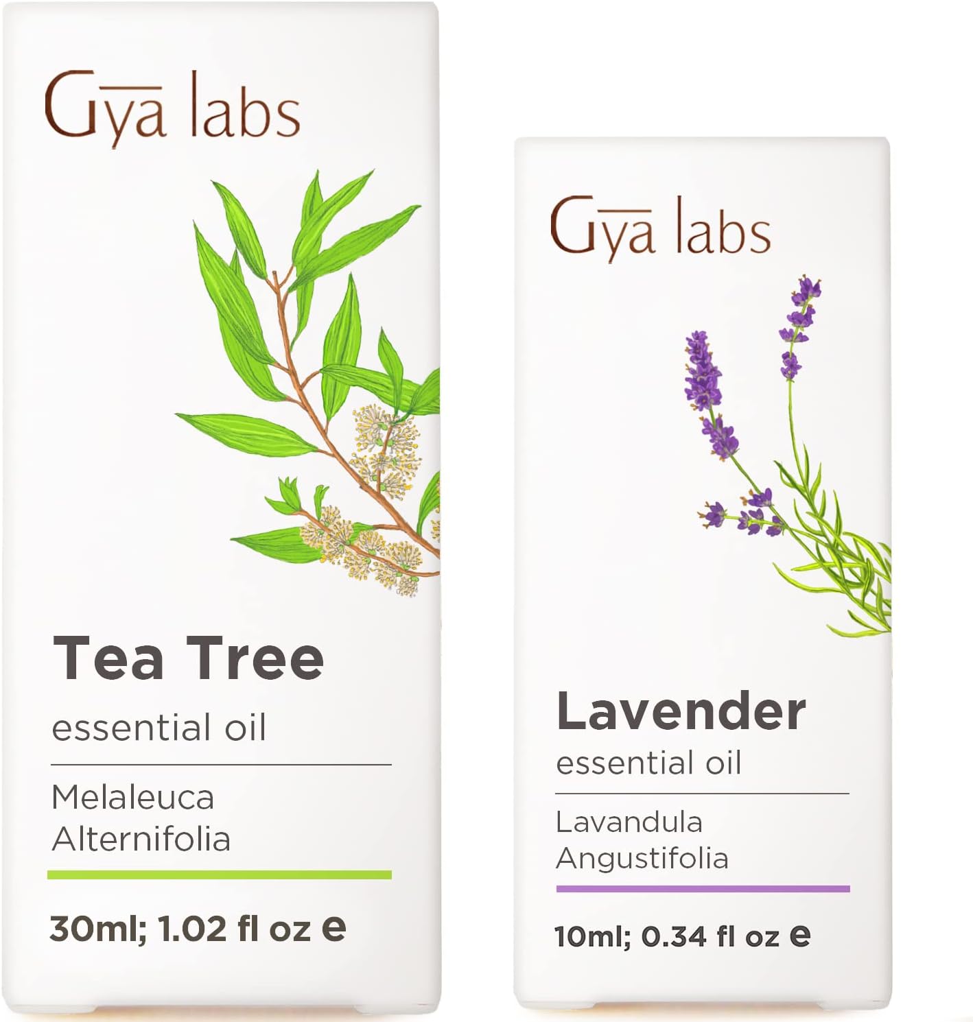 Tea Tree Oil for Skin (1 fl oz) & Lavender Essential Oil for Diffuser (3.4 fl oz) Set - Aromatherapy Grade Essential Oils Set - Gya Labs