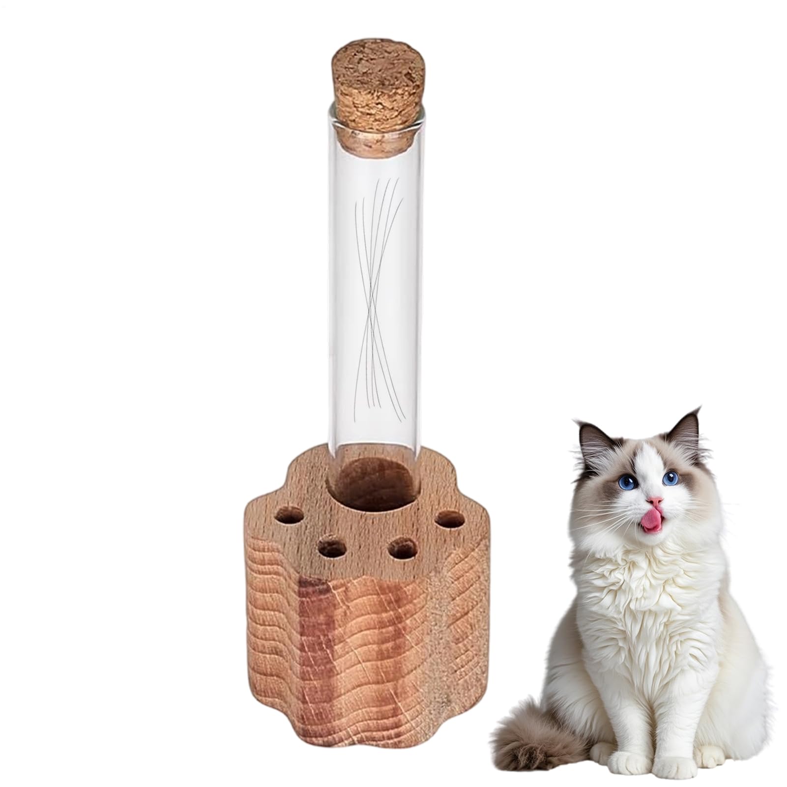 Cat Whisker Keeper Jar | Transparent Glass Loss Of Pet Sympathy Keepsake | Cat Whisker Collection,for Women Men Adults Father Mother Friends