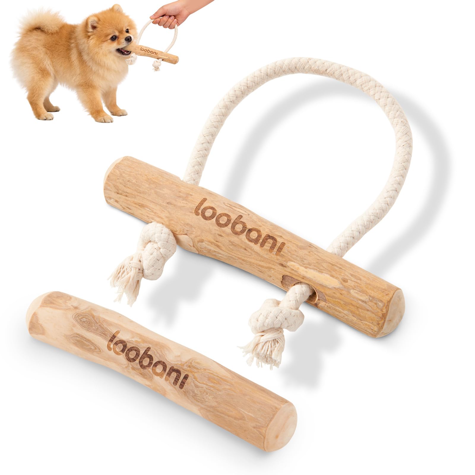 Amazon | 【獣医師推薦】LOOBANI 犬 噛む おもちゃ コーヒーの木 無