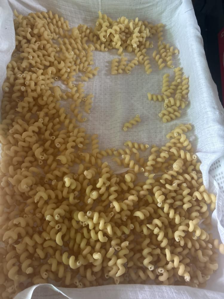 Amori Brass / Teflon Die for TR70 Sela La Pastaia Corngold Avancini Omegaone