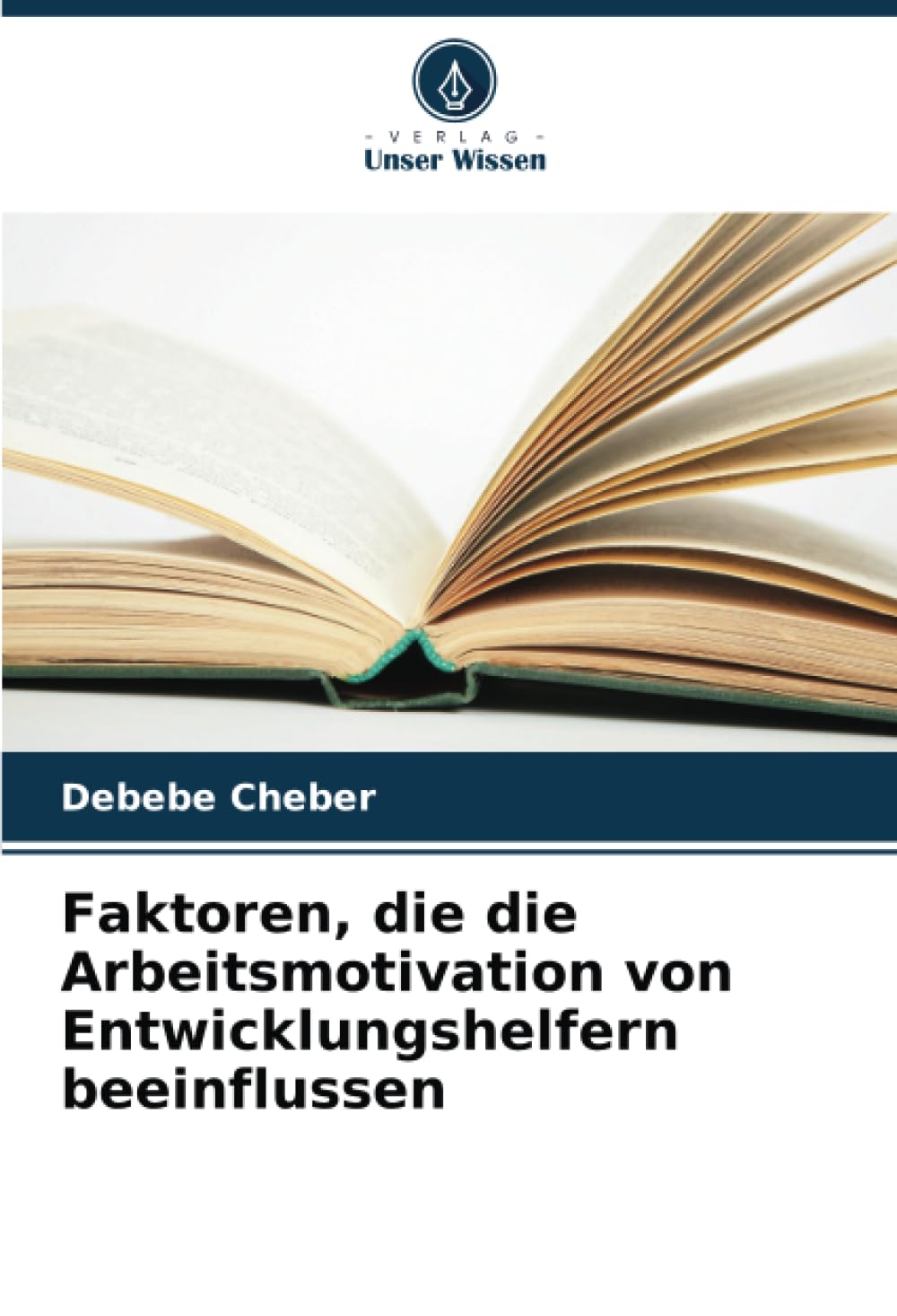 Faktoren, die die Arbeitsmotivation von Entwicklungshelfern beeinflussen