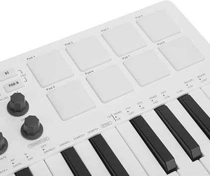 MIDI Keyboard Controller Professional Dynamic Keybed USB 25 Key Portable Arrangement Accessories for Music Producers Songwriters Beat Makers
