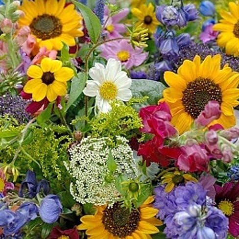 Non GMO Bulk Cut Flower Mix Seed (25 lb)