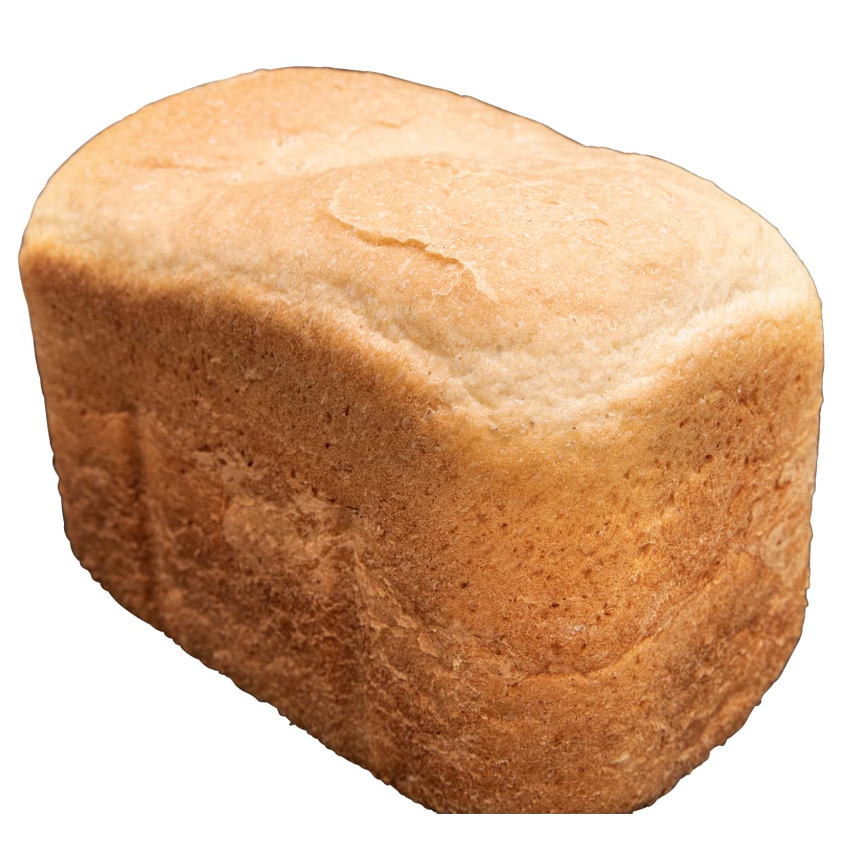 Gastronoma 18260001 Brotbackautomat, Brotbackmaschine 12 digitale Programme, automatisches Zutatenfach, für 1350 Gramm Brotlaibe, Sichtfenster, 13 Stunden Verzögerungs Timer, 60 Min Warmhaltefunktion