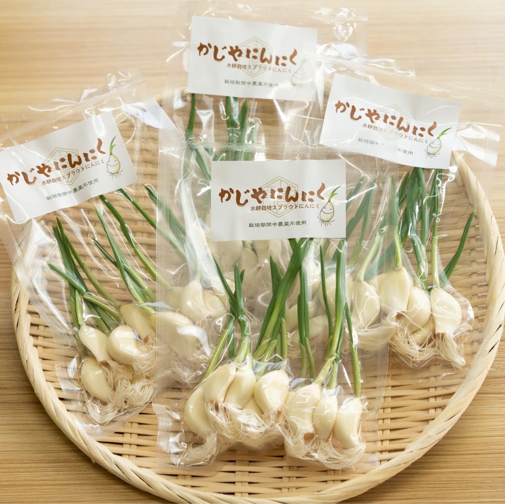 Amazon.co.jp: かじやにんにく スプラウトニンニク 160g 発芽にんにく