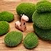 TecUnite 20 Pieces Green Artificial Moss Rocks Decorative Faux Moss Covered Stones (5 Size)