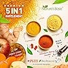 Turmeric-Curcumin-with-Ginger-Apple-Cider-Vinegar-BioPerine-Black-Pepper-95-Curcuminoids-Natural-Joint-Healthly-Inflammatory-Support-Antioxidant-Tumeric-Supplement-Made-in-USA-Natures-Base Turmeric and Ginger Supplement - Tumeric Curcumin Joint Support Pills - with Apple Cider Vinegar & BioPerine Black Pepper - 95% Curcuminoids - 60 Capsules