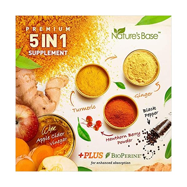Turmeric-Curcumin-with-Ginger-Apple-Cider-Vinegar-BioPerine-Black-Pepper-95-Curcuminoids-Natural-Joint-Healthly-Inflammatory-Support-Antioxidant-Tumeric-Supplement-Made-in-USA-Natures-Base Turmeric and Ginger Supplement - Tumeric Curcumin Joint Support Pills - with Apple Cider Vinegar & BioPerine Black Pepper - 95% Curcuminoids - 60 Capsules