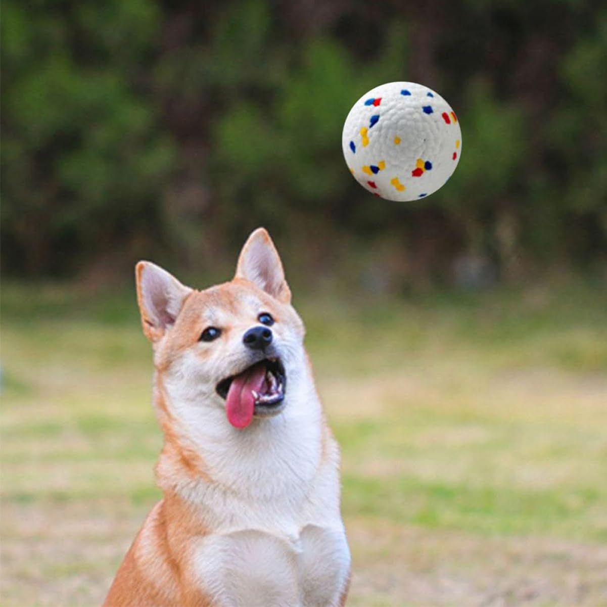 Mipcase 6 Uds Pelota Hinchable Juguetes para Mascotas Juguetes para Perros Pequeños Juguetes para Perros Ejercicio para Mascotas Masticador Juguetes para La Dentición para Cachorros