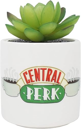 FRIENDS Central Perk - Maceta de interior con planta sintética, 4.6 x 2.8 x 2.8 in, multicolor, estilo moderno
