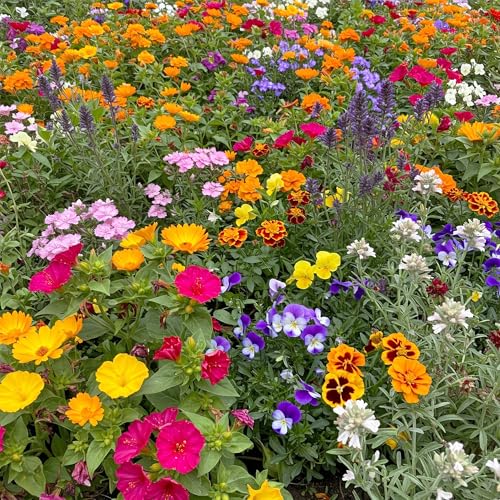 Image of Ferry-Morse Fragrant Bulk Wildflower Seeds, 370,000+, 1 lb