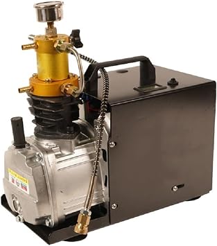 DOLUNTO TXES031 30Mpa 300Bar 4500Psi Electric PCP Air Compressor High Pressure Air Pump Pneumatic Scuba PCP Inflator Size 220 Volt