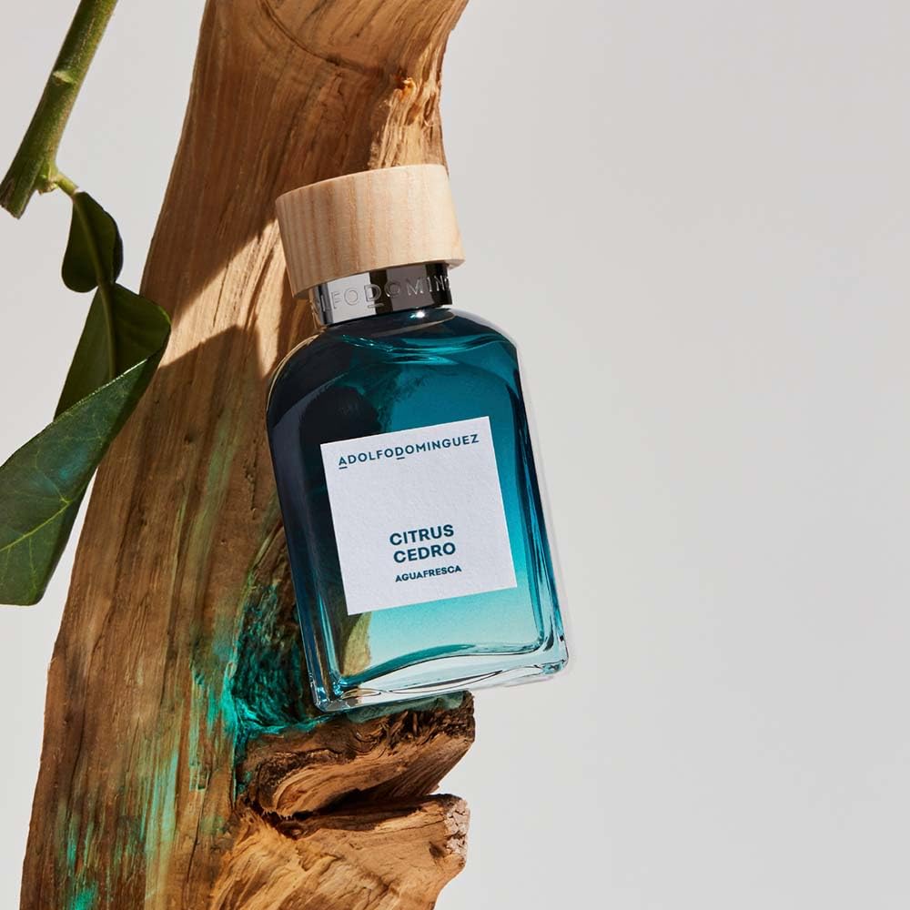 Parfum Homme Adolfo Dominguez EDT 120 ml