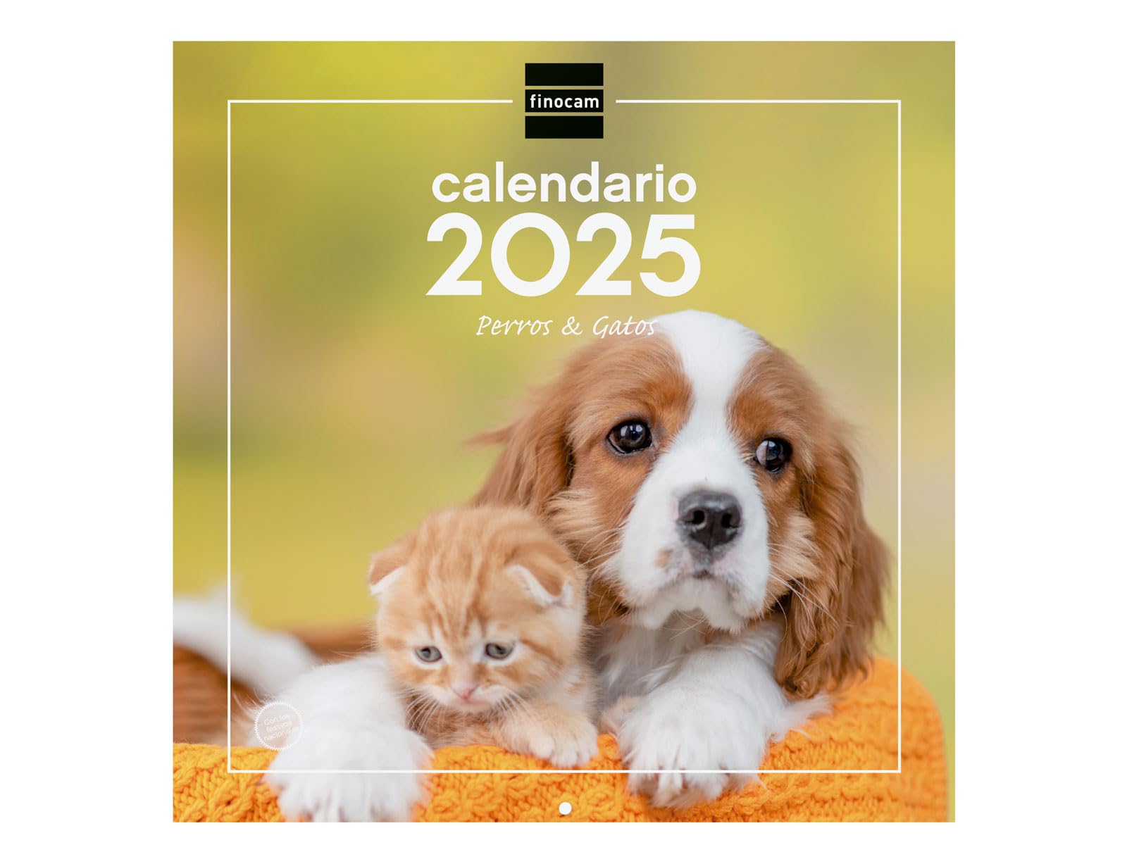 Calendrier Mural 2026 Finocam 30x30 Cm - Vue Mois, Thème Chatons, Espagnol, Avec Septembre-décembre 2025 Réduits