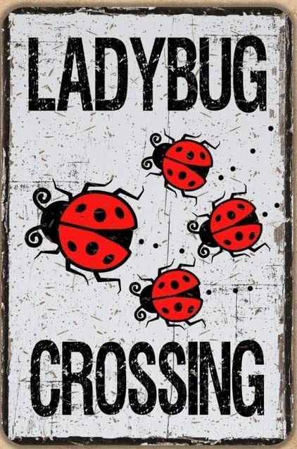 Amazon.com: Retro Metal Poster Ladybug Crossing Metal Tin Signs