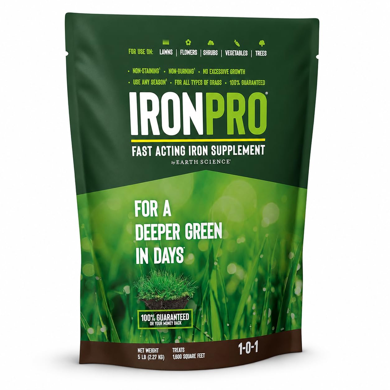 Earth Science IronPro Fast Acting Iron Supplement