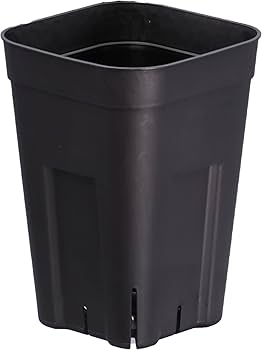 Amazon | 日本ポリ鉢 プレステラ深型105 5個組 ブラック プラスチック Amazon | 日本ポリ鉢 プレステラ深型105 5個組 ブラック プラスチック