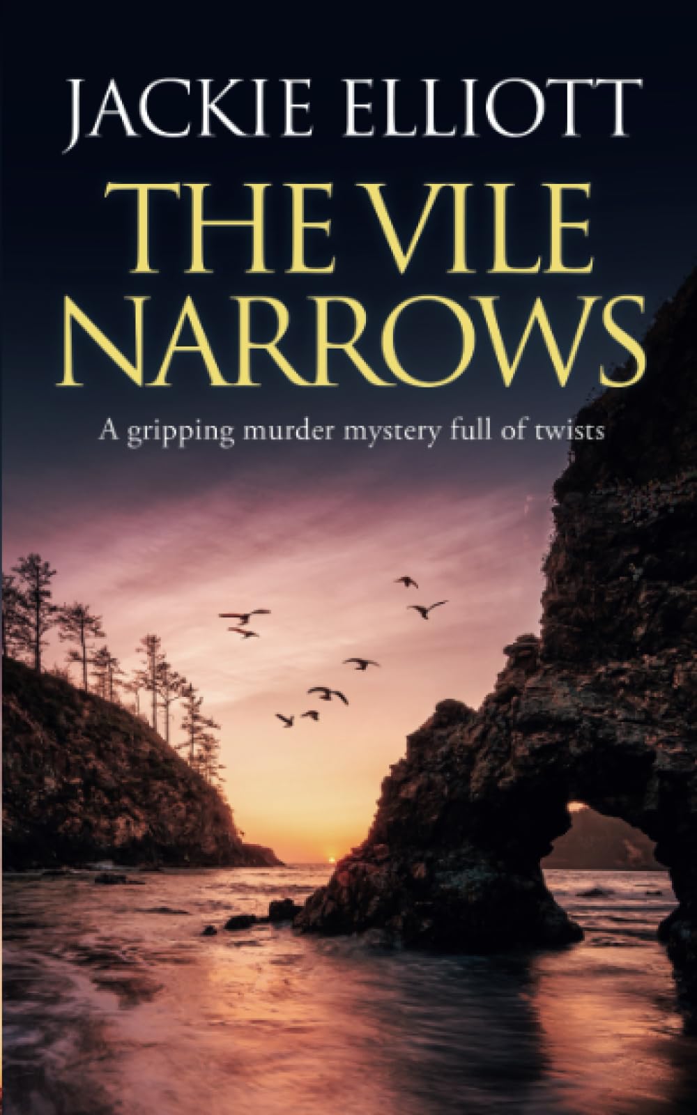 THE VILE NARROWS a gripping murder mystery full of twists (Coffin Cove Mysteries)