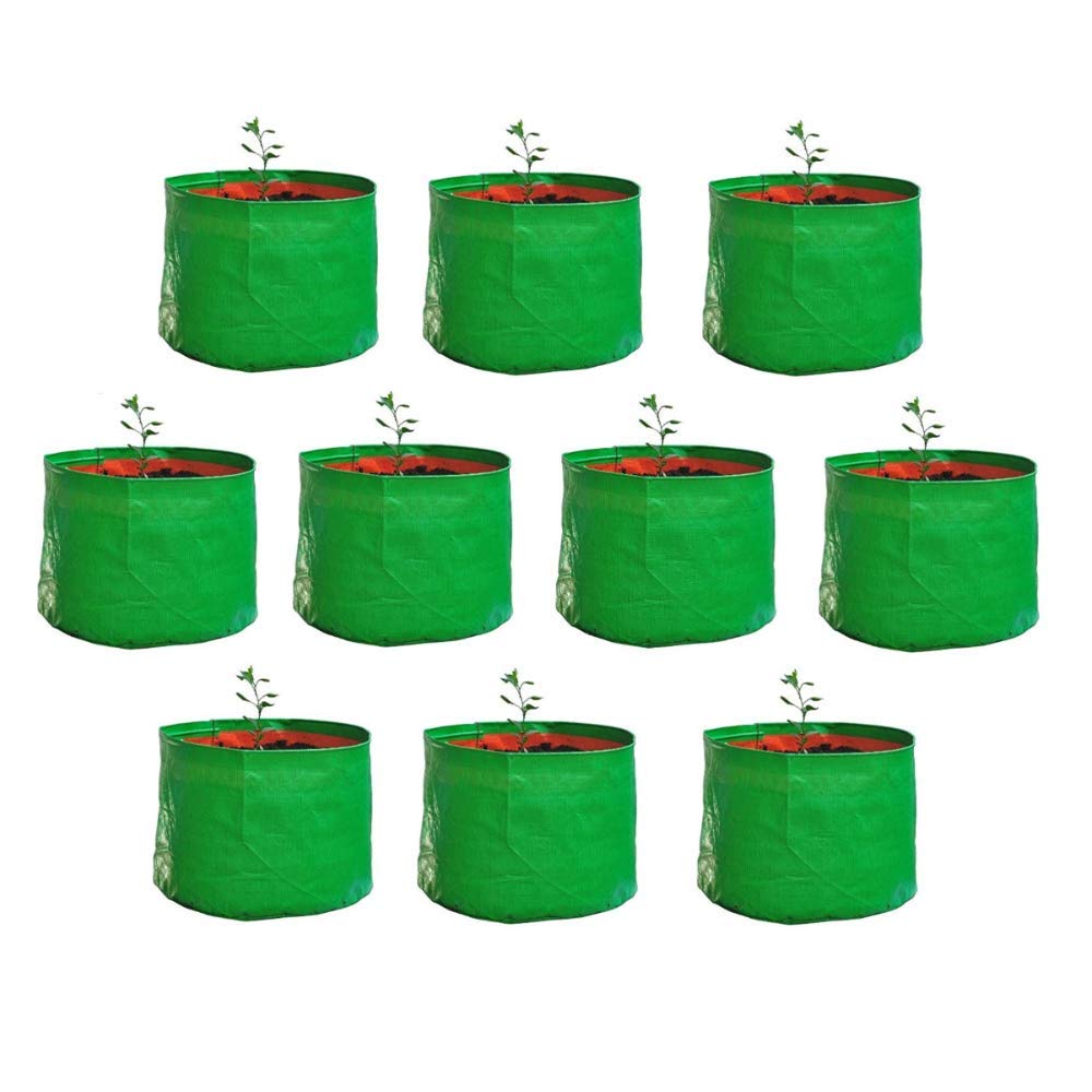 Live with Alive Plastic Grow Bags, Set of 10, green (B085NQFFYX) Amazon Price History, Amazon Price Tracker