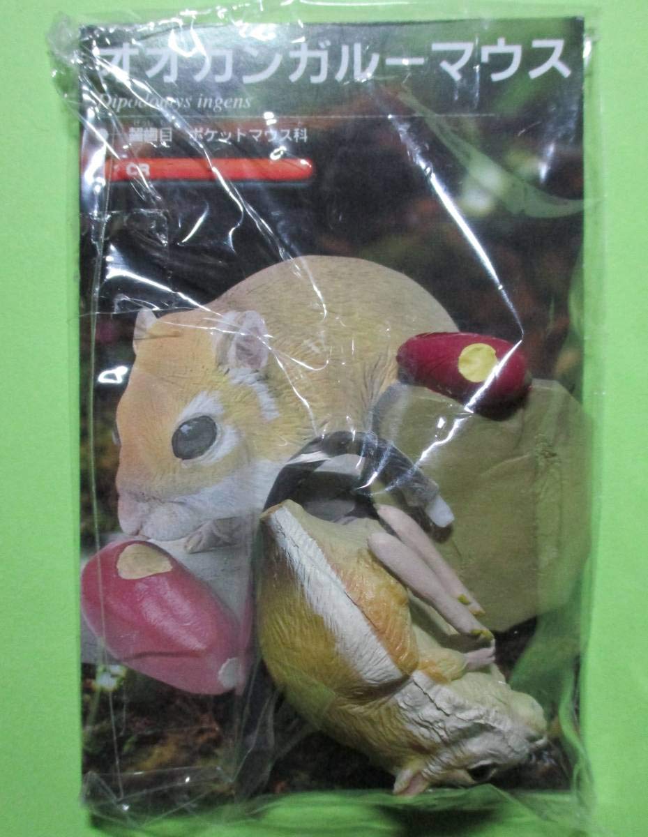 Amazon | 動物世界遺産レッド・データ・アニマルズ [オオカンガルー