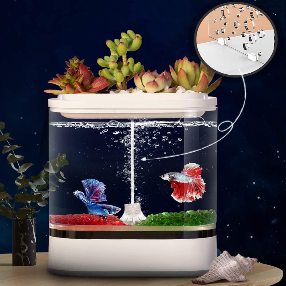 カラフル 卓上ミニ水族館 卓上アクアリウム Ledクラゲミニ水槽 3匹クラゲあり プレゼント 雰囲気作り バッテリー Usb スタンドタイプ オートパ Kuustore もできます Shineray Com Br