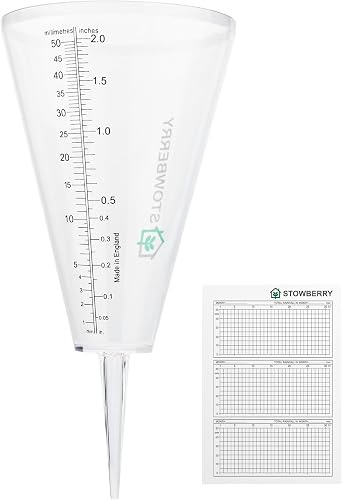Pluviomètre d'extérieur pour Jardin STOWBERRY
