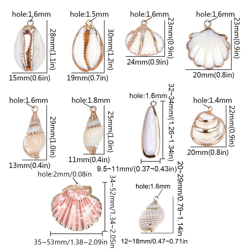 SUNNYCLUE 1 caja de 10 conchas cauris blancas naturales de 2 estilos para hacer collares, pulseras, pendientes