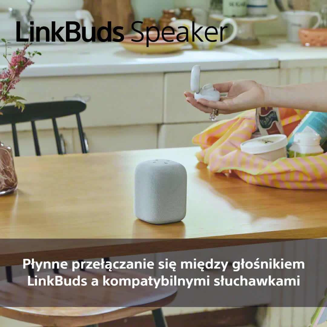 Sony LinkBuds Speaker przenośny bezprzewodowy głośnik Bluetooth ze stacją ładującą, IPX4, wodoodporny, 25-godzinny akumulator, jakość dzwonka, głośnik domowy, szary