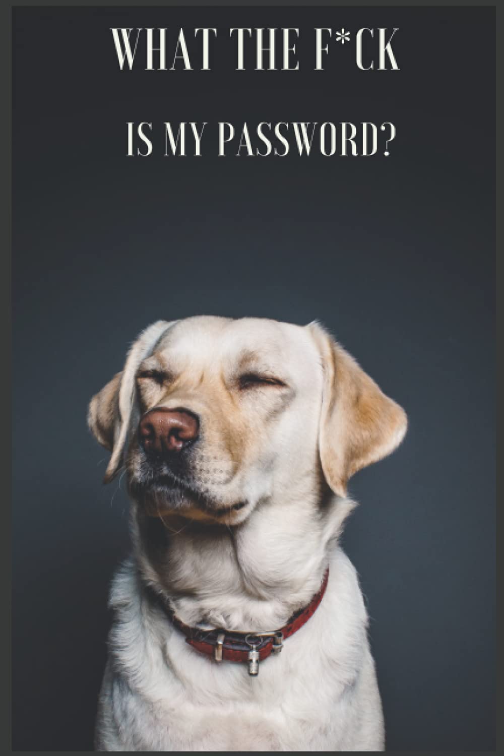 What the F*ck is my password!: internet password log book