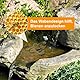 Bieneninsel,2 Stück Bienen Bewässerungsstation,Schwimmende Bestäuberinsel,Schwimmende Insel in Bienenform,Insektentränke Garten,Bienentränke für Den Garten,Biene Wasserschalen für Gartendekoration