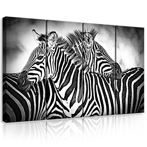 FORWALL Lienzo de Impresión – cuadro de cebras amf10092 _ ps7 Canvas Picture Print Natural Wild Animal Animales África Negro Blanco Zebra, lona, Schwarz und Weiss, S7 (120cm. x 80cm. (4x30x80))