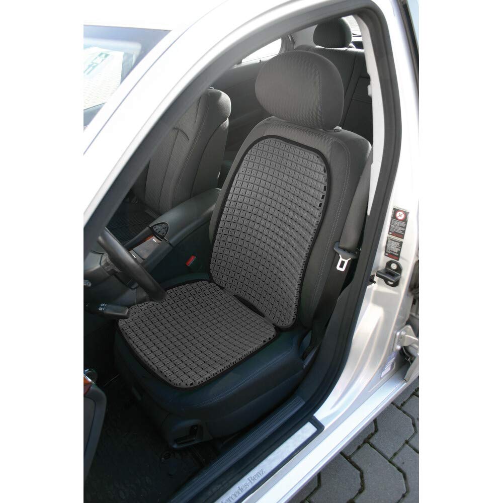 Lampa 54300 autostoelbeschermer voor taxirijders