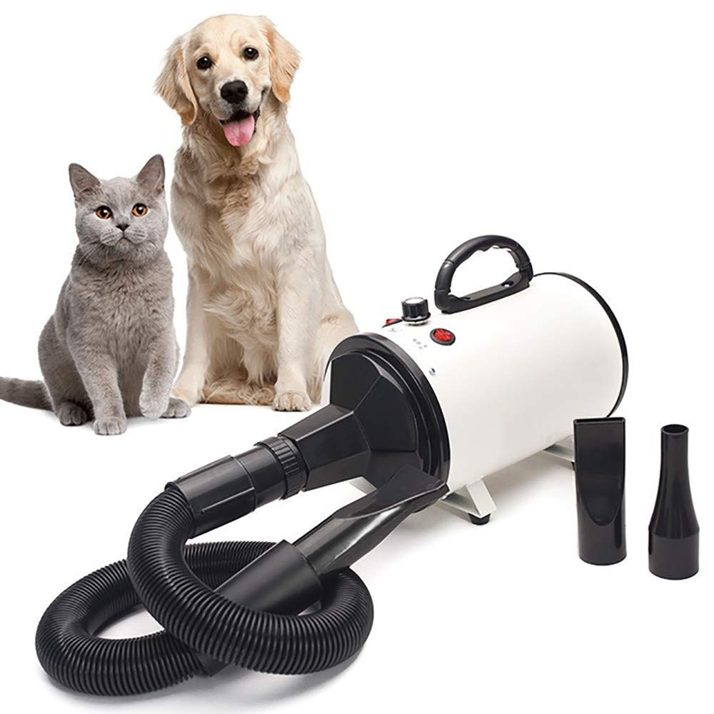 Secador de Pelo Profesional para Mascotas, máquina de soplado de Pelo para Perros, máquina de soplado de Agua, Adecuada para Perros y Gatos Grandes y medianos, 2000 W de Potencia, silencioso, antiesc