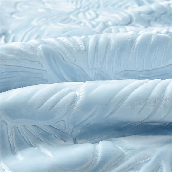 LGYKUMEG 11 Lb Heavy Korean Blanket,Queen Size 2 Ply Reversible Silky Soft Plush Warm Blanket for Autumn Winter.