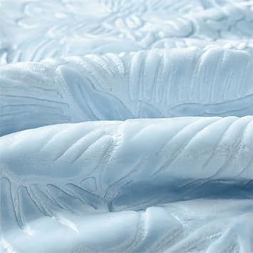 LGYKUMEG 11 Lb Heavy Korean Blanket,Queen Size 2 Ply Reversible Silky Soft Plush Warm Blanket for Autumn Winter.