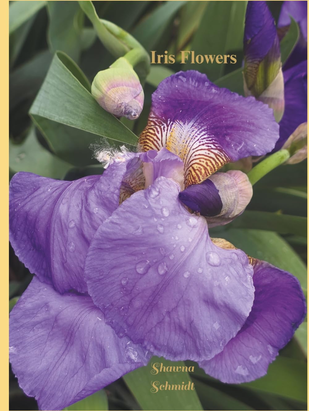Iris Flowers: Coffee Table Book