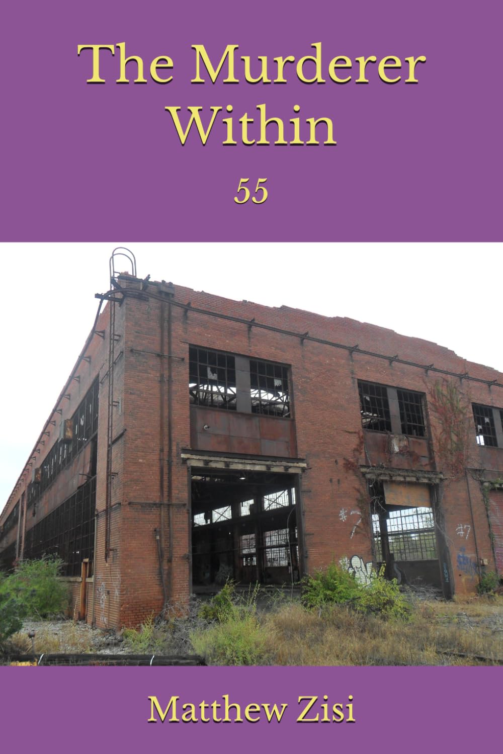 The Murderer Within (The Anderson Family Mystery Series)